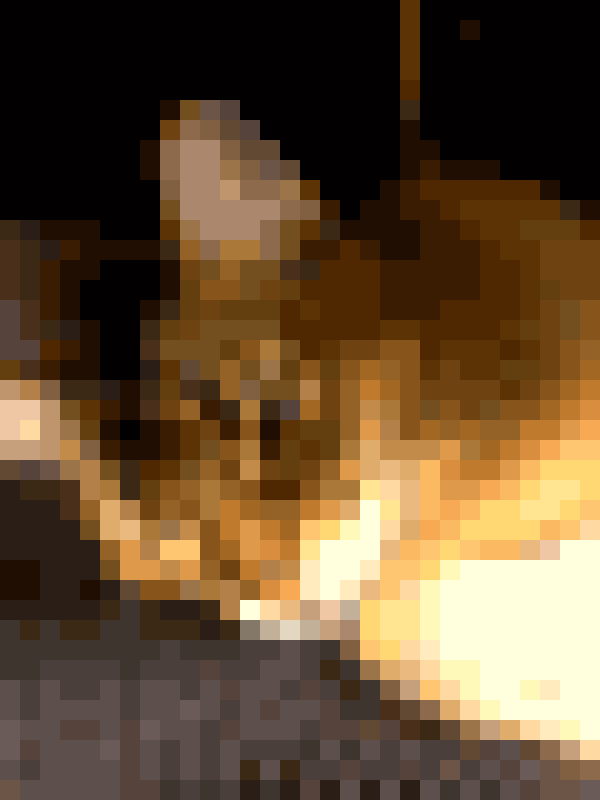 名もなき画像
