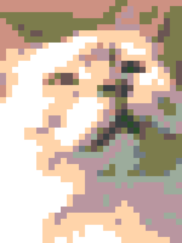 名もなき画像